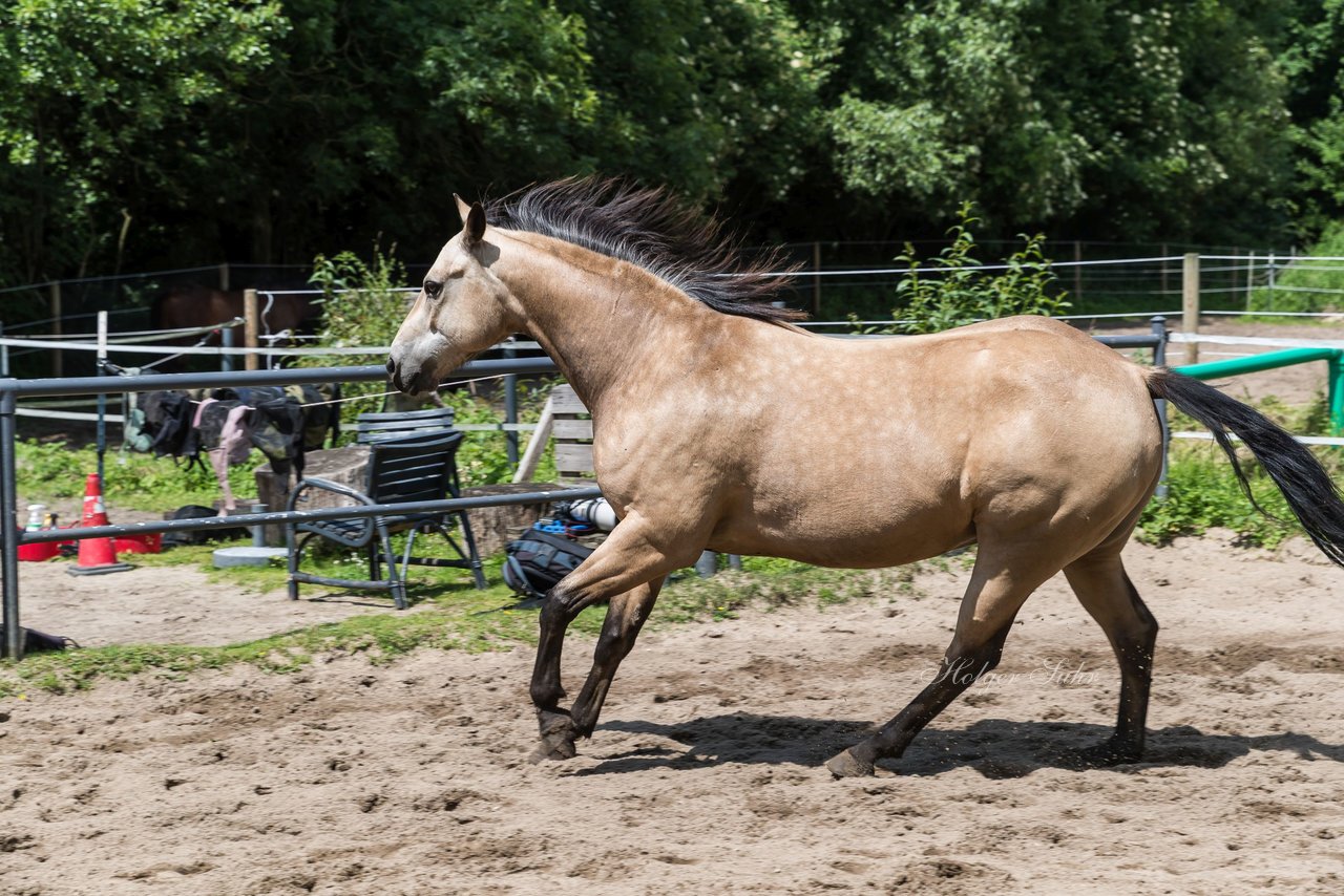Bild 175 - Vivi